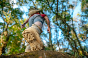 Explore Amazing Hiking Adventures: Must-Visit Nature Trail Spots