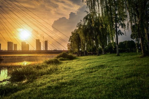 Urban escapes vs rural retreats