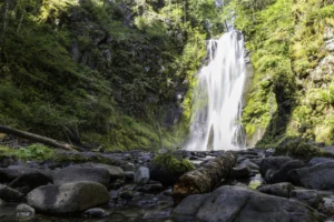 The Best U.S. Waterfall Trips to Take in April